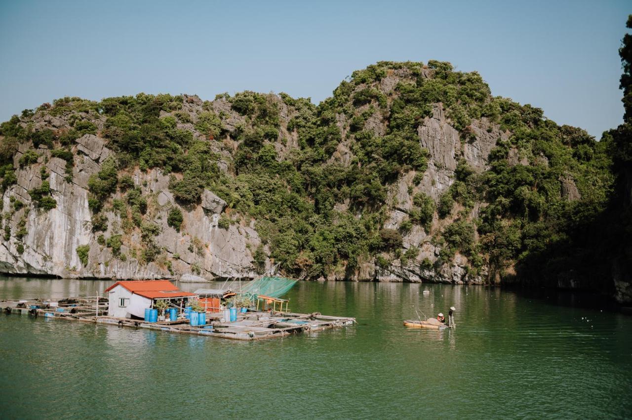 Cat Ba Bay Cruises Ξενοδοχείο Dong Khe Sau Εξωτερικό φωτογραφία